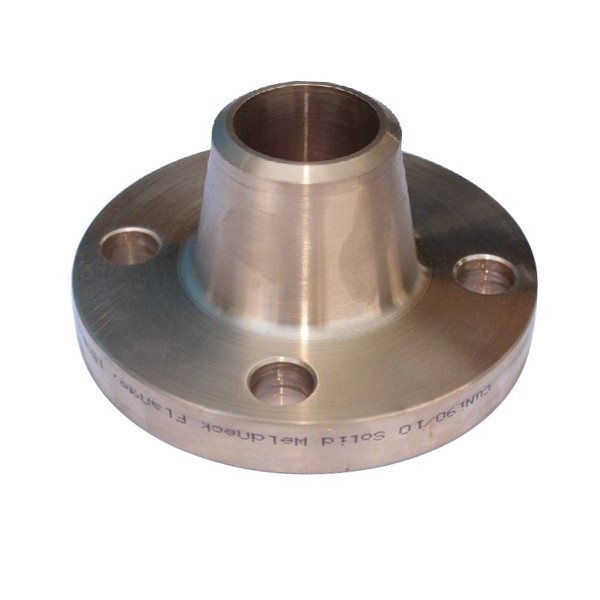 ASME B16.5 Flange